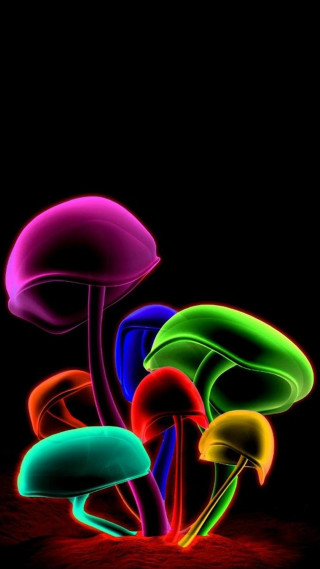Colorful mushrooms night dark group - psychedelic art free wallpaper for mobile
