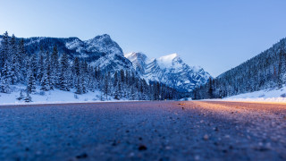 Mountain road snow trees fantasy - the ground and trees free wallpaper for desktop