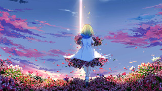 Girl white dress flower field 2 - a field of flowers free wallpaper for desktop