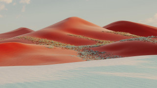 Desert sand dunes clouds plants - a desert landscape free wallpaper