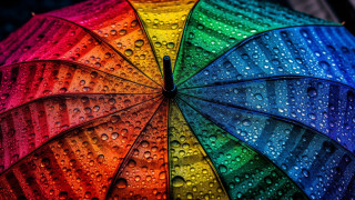 Rainbow umbrella water droplets macro 2 - art green free wallpaper