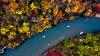 River trees boats autumn leaves - a forest in the background free wallpaper
