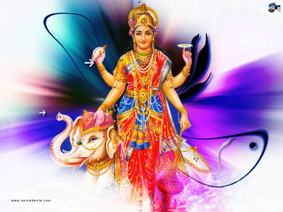 Woman elephant cup painting artistry - a background free wallpaper