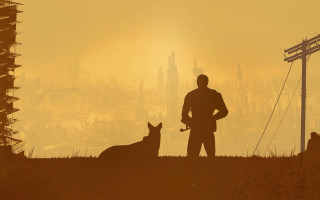 Man dog field city sunset - free cats wallpaper