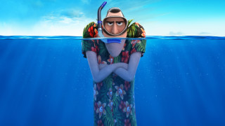 Underwater man hawaiian shirt fish - a mask free wallpaper
