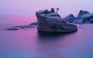 Rock formation water tree purple - daniel lieske free wallpaper