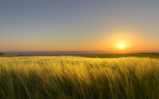 Sunset field hill clouds grass - cloud above free wallpaper for desktop
