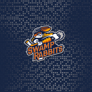 Blue background swamp rabbit baseball - free other wallpaper for tablet