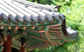 Roof bird trees garden flowers - the background in the background free wallpaper