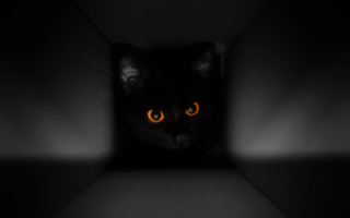 Cat glowing eyes dark room - cubofuturism free wallpaper for desktop