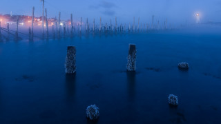 Foggy night poles water streetlight - a foggy night free wallpaper