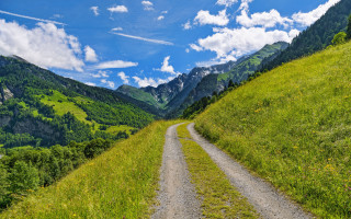 Dirt road green valley mountains - a lush green valley free wallpaper for desktop
