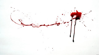 Blood splattered object white background - a blood free wallpaper
