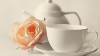 White tea pot white cup - a white cup free wallpaper for desktop