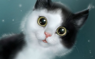 Black cat yellow eyes snowing - cat free wallpaper