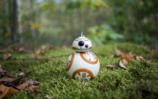 Toy bush grass trees star - a star wars character free wallpaper