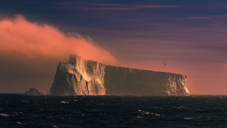 Iceberg bird pink sky ocean - amazing depth free wallpaper