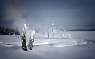 Snow covered field trees misty - mist free wallpaper