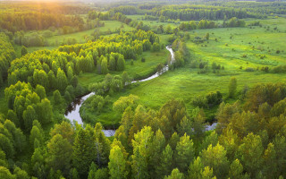 River forest sunset green nature - a sunset in the distance free wallpaper