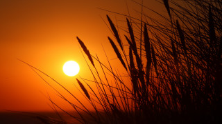 Sunset tallgrass redsky mountain fullmoon - a few tall grass free wallpaper