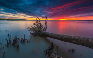 Tree water beach sunset mountain - a colorful sky in the background free wallpaper