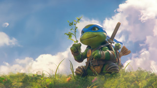 Cartoon turtle baseball bat plant - its hand free wallpaper