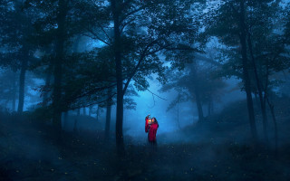 Forest foggy night fireflies magic - filip hodas free wallpaper