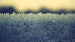 Frosty surface trees sky winter - the background and a sky in the background free wallpaper
