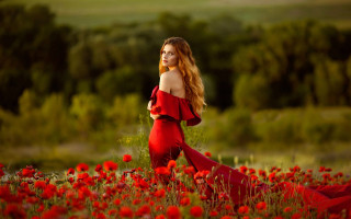 Woman red dress flower field 2 - red flower free wallpaper for desktop