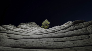 Lone tree night stars mountains - the distance free wallpaper for desktop