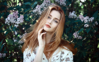 Red haired woman purple flowers - a bush free wallpaper