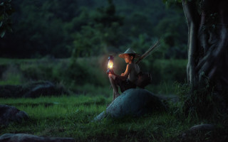 Person sitting forest lantern night - arthur pan free wallpaper