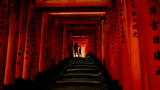 Man tunnel of red tori - lightroom free wallpaper