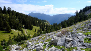 Rocky hillside grassy trees mountain - a rocky hillside free wallpaper