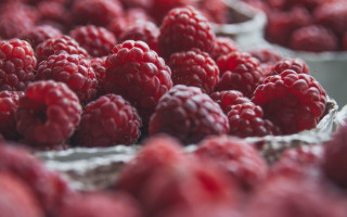 Raspberries bowl market tiltshift blurry - sale free wallpaper