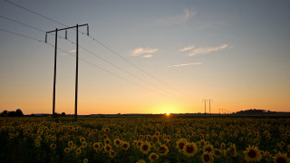 Sunflowers powerlines dusk mountain sky - power free wallpaper
