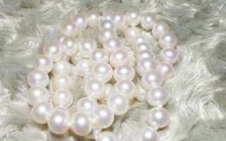 Pearls fur black bead macro - pearlescent free wallpaper