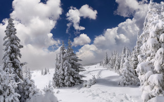 Snowy landscape trees clouds mountain - panoramic free wallpaper