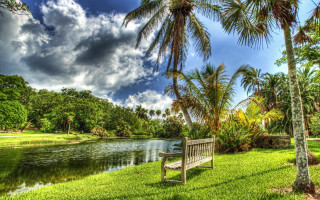 Lake bench palm trees forest - a bench sitting next free wallpaper