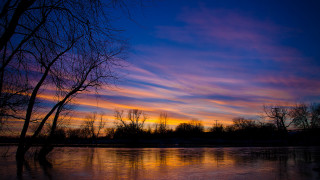 Sunset reflected trees autumn bush - a sunset free wallpaper for desktop
