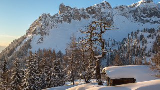Snowy mountain cabin trees winter - domirinic fegallia free wallpaper for desktop