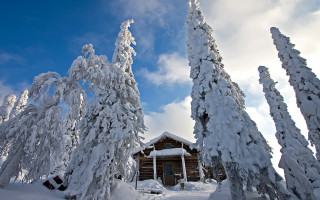 Snowy cabin woods mountains clouds - snow covered trees free wallpaper