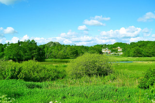 Field house trees blue sky - ecological art free wallpaper