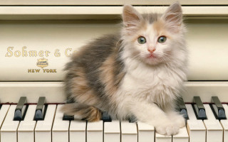Cat piano rococo pastel english - edward george handel lucas free wallpaper