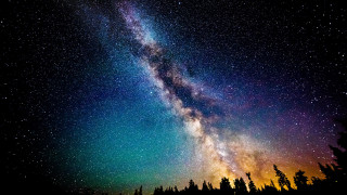 Night sky starry tree line - dan frazier free wallpaper
