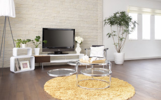 Living room television rug plant - christian hilfgott brand free wallpaper for desktop