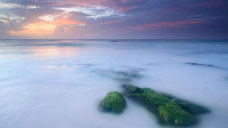 Beach rocks green algae sunset - rock free wallpaper