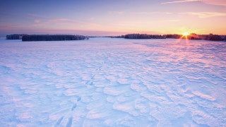 Snowy field sunset trees mountains - a sky line in the background free wallpaper