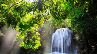 Waterfall sunlight trees forest nature - the leaf free wallpaper for desktop