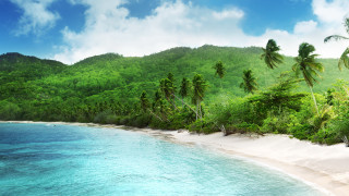 Beach trees water mountain sky - the background and a mountain in the distance free wallpaper